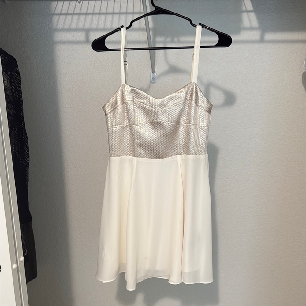 Elegant Cream and Silver Dress